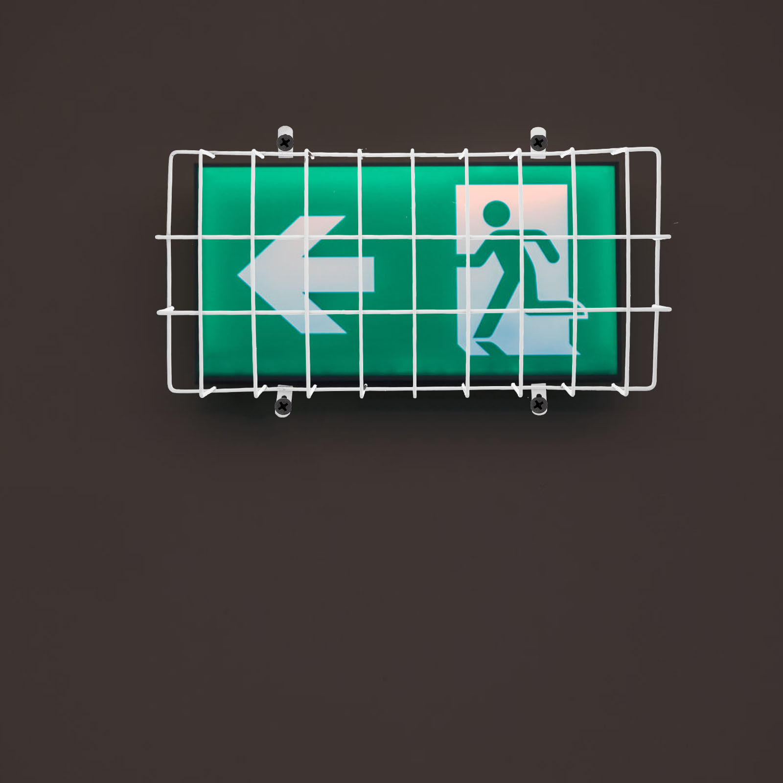 Emergency Exit Sign - Copertura Protettiva in Metallo per Cavo